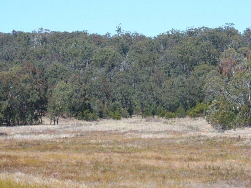 Lot 27 and28 Mt Lindsay Road, Tenterfield NSW 2372