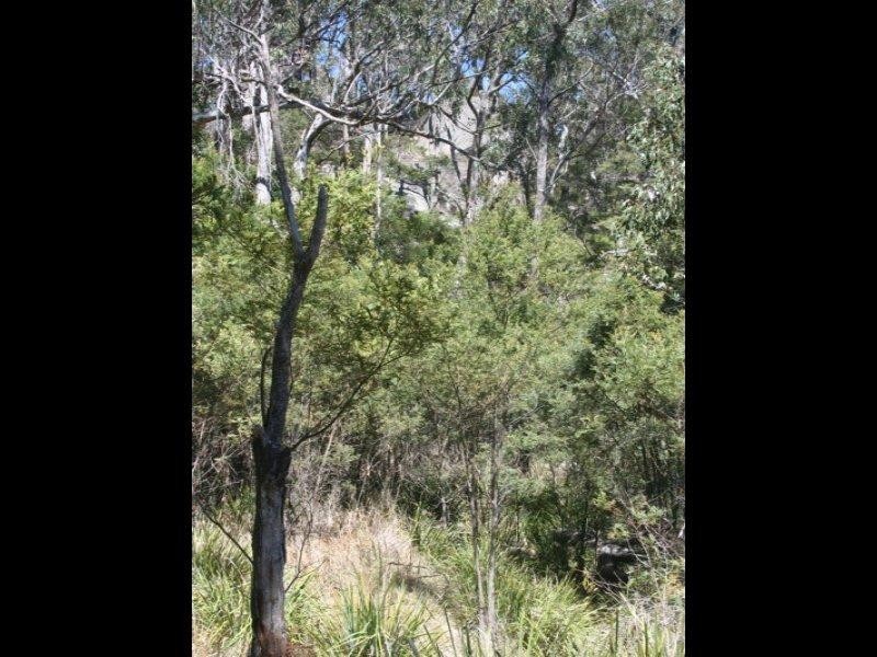 Lot 27 and28 Mt Lindsay Road, Tenterfield NSW 2372