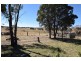 243 Bellevue Road, Tenterfield NSW 2372