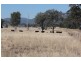 207 Beardy River Road, Tenterfield NSW 2372