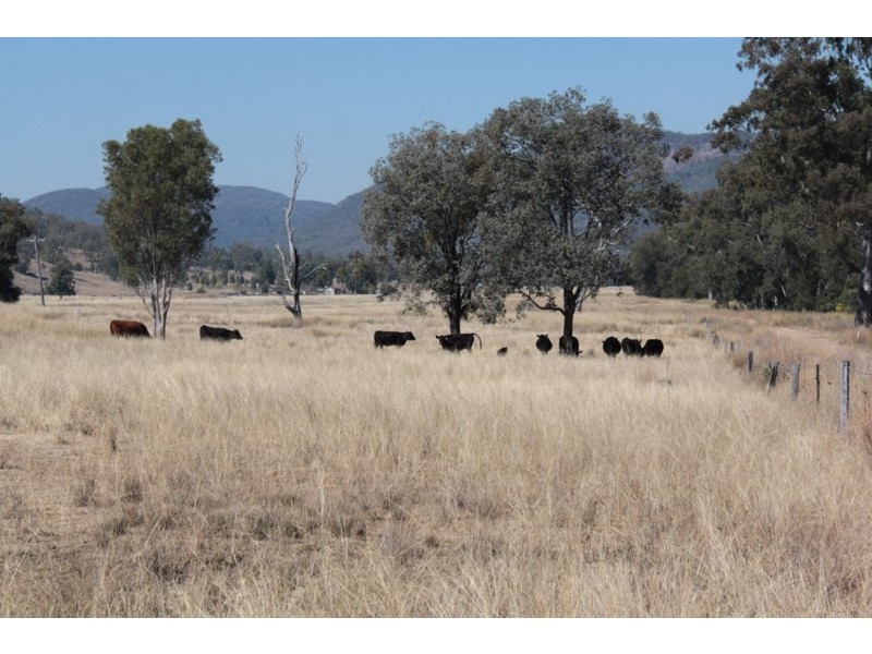 207 Beardy River Road, Tenterfield NSW 2372