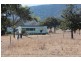 207 Beardy River Road, Tenterfield NSW 2372