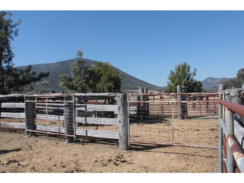 207 Beardy River Road, Tenterfield NSW 2372