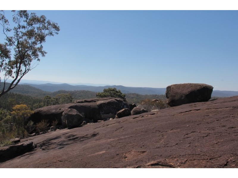 207 Beardy River Road, Tenterfield NSW 2372