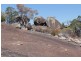 207 Beardy River Road, Tenterfield NSW 2372