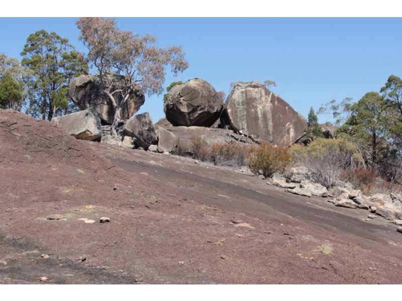 207 Beardy River Road, Tenterfield NSW 2372