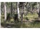 207 Beardy River Road, Tenterfield NSW 2372