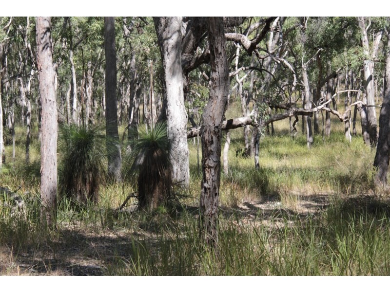 207 Beardy River Road, Tenterfield NSW 2372