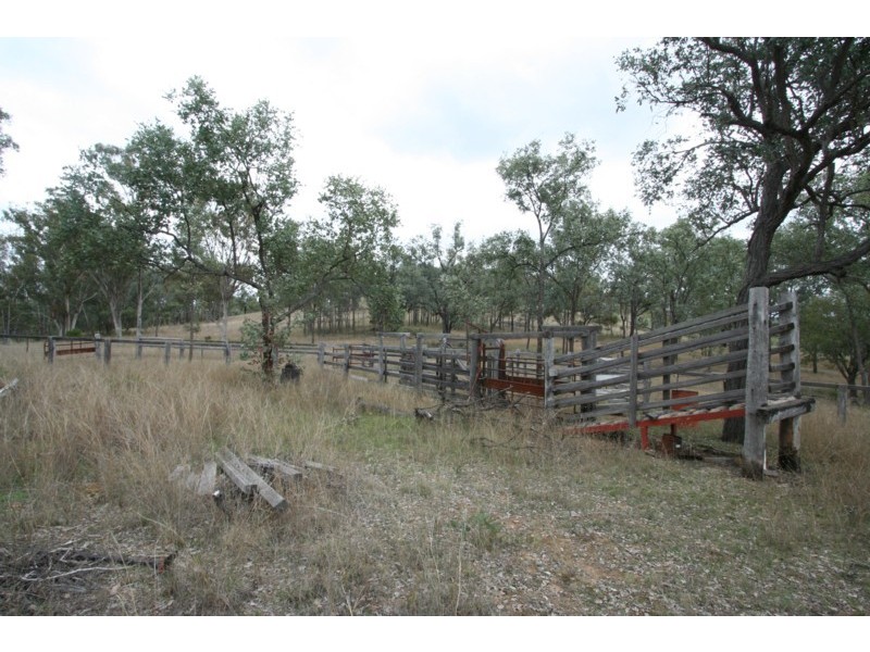 Tenterfield NSW 2372