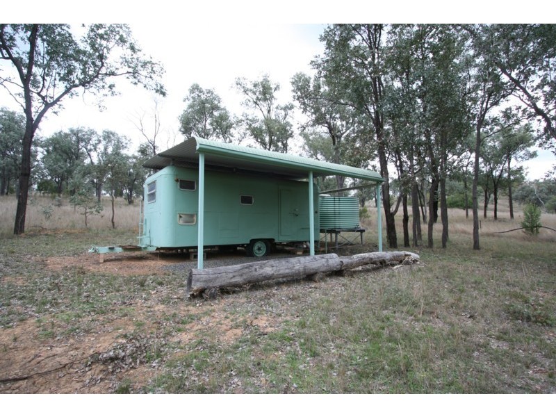 Tenterfield NSW 2372