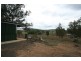Tenterfield NSW 2372