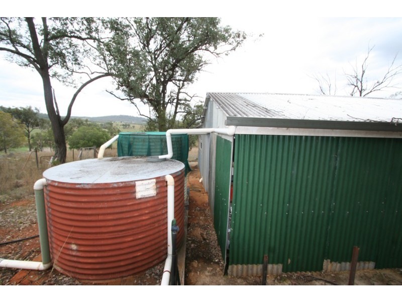 Tenterfield NSW 2372