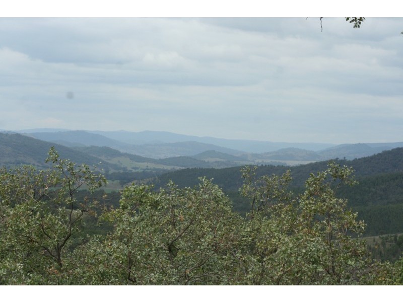 Tenterfield NSW 2372