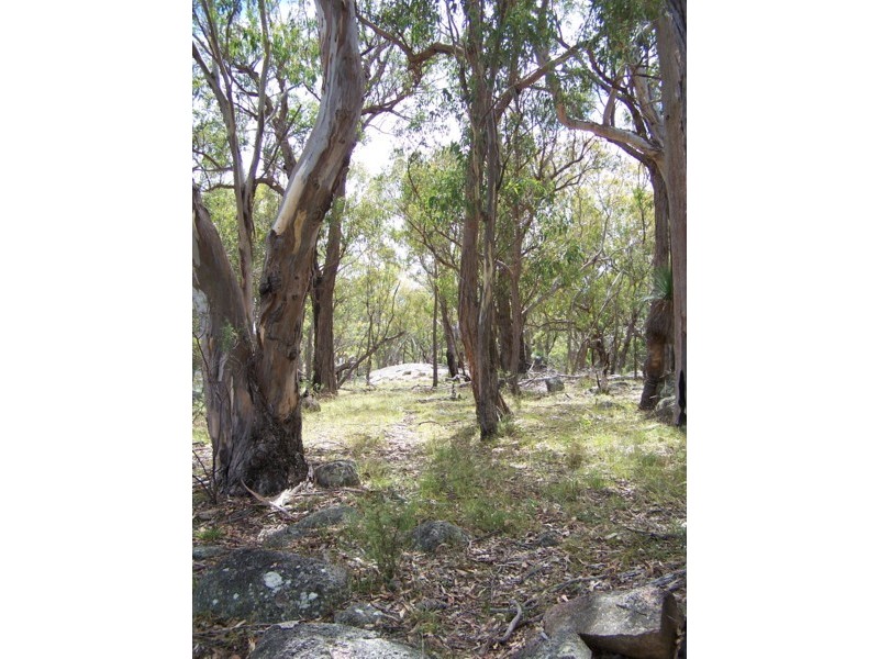 Tenterfield NSW 2372