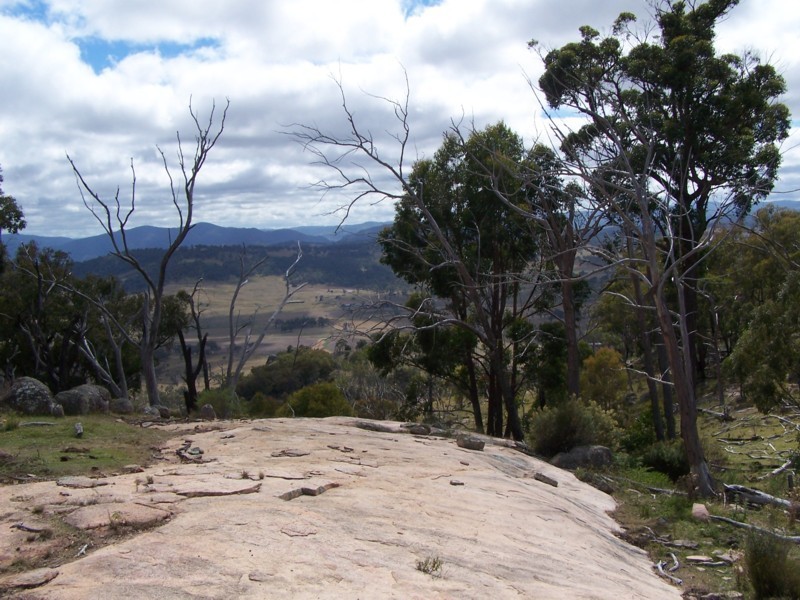 Tenterfield NSW 2372