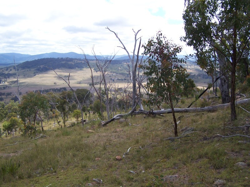 Tenterfield NSW 2372