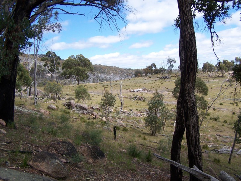 Tenterfield NSW 2372