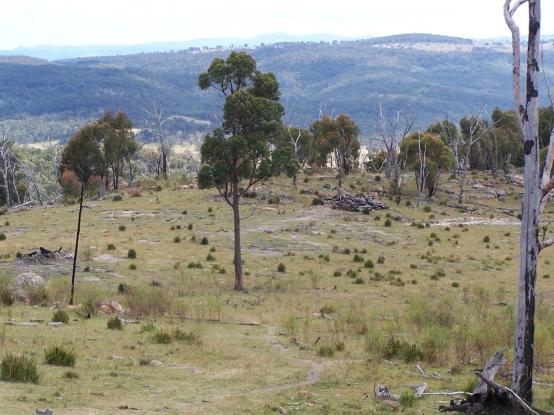 Tenterfield NSW 2372