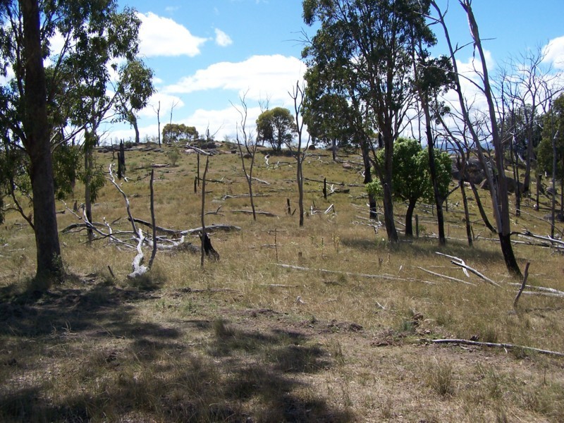 Tenterfield NSW 2372
