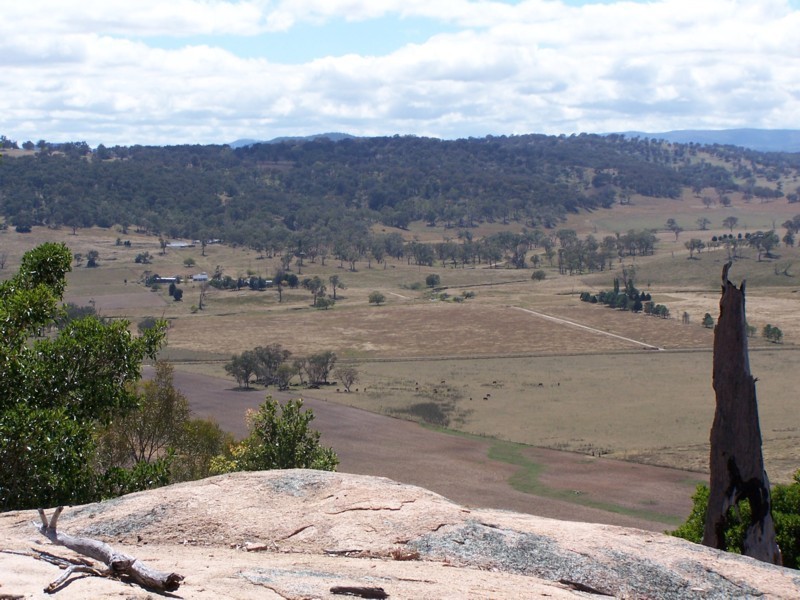 Tenterfield NSW 2372