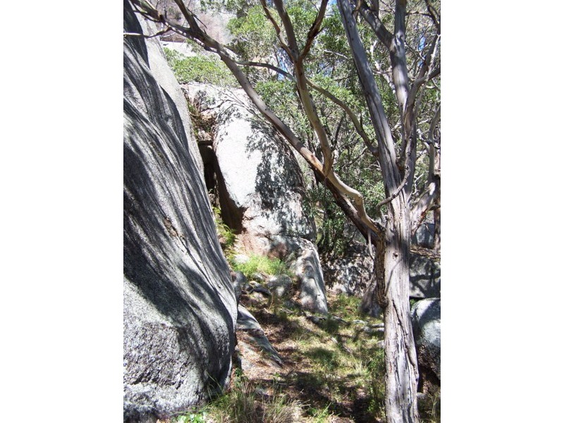 Tenterfield NSW 2372