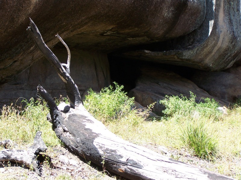 Tenterfield NSW 2372