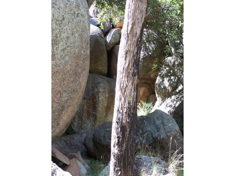 Tenterfield NSW 2372