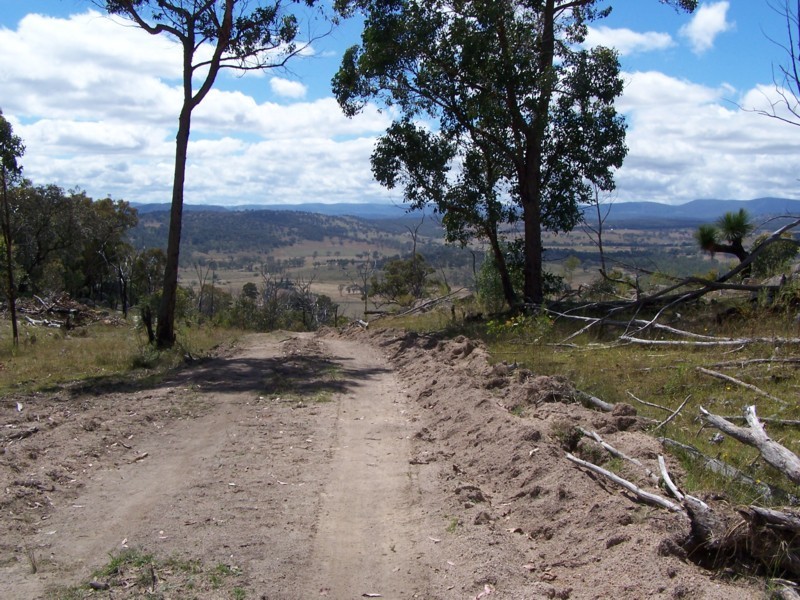 Tenterfield NSW 2372