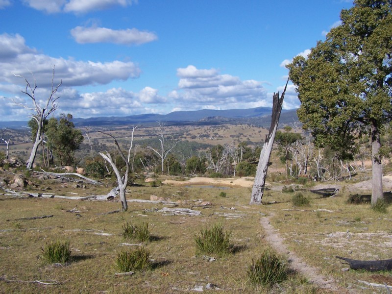 Tenterfield NSW 2372