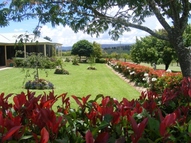 330 Bellevue Road, Tenterfield NSW 2372