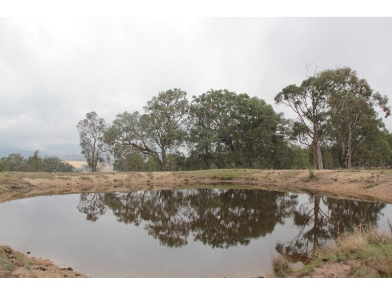 215 Mount Spirabo Road, Tenterfield NSW 2372