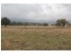 215 Mount Spirabo Road, Tenterfield NSW 2372