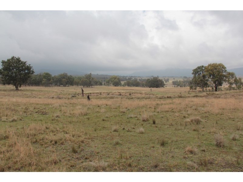 215 Mount Spirabo Road, Tenterfield NSW 2372
