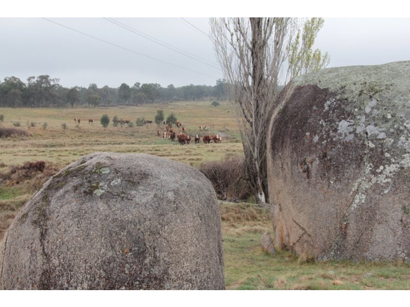 215 Mount Spirabo Road, Tenterfield NSW 2372