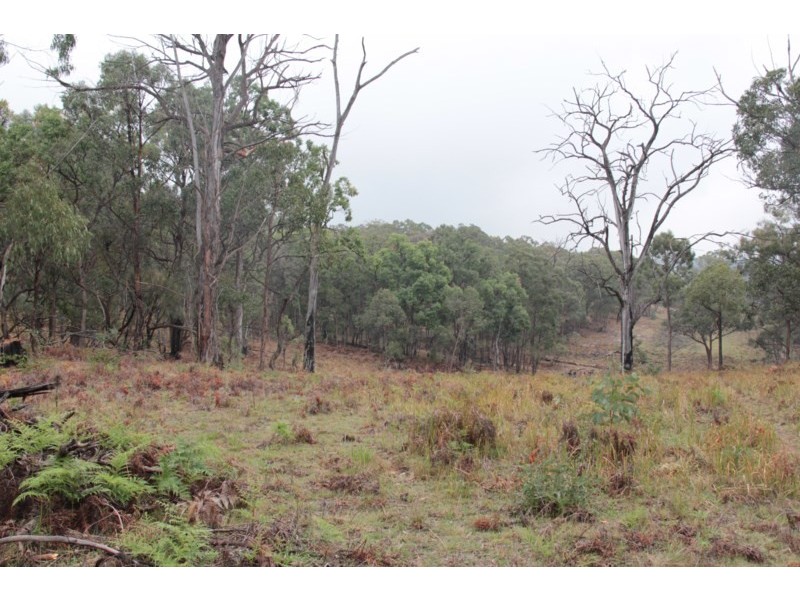 215 Mount Spirabo Road, Tenterfield NSW 2372