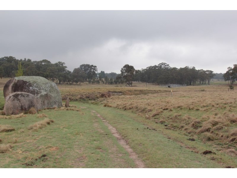 215 Mount Spirabo Road, Tenterfield NSW 2372