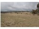 215 Mount Spirabo Road, Tenterfield NSW 2372