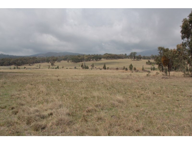 215 Mount Spirabo Road, Tenterfield NSW 2372