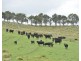 11812 Bruxner Highway, Tenterfield NSW 2372