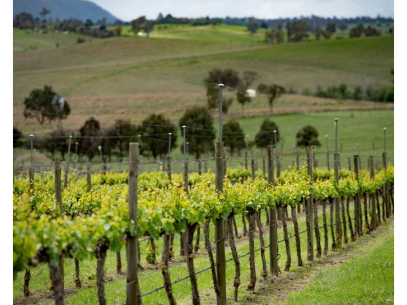 11812 Bruxner Highway, Tenterfield NSW 2372