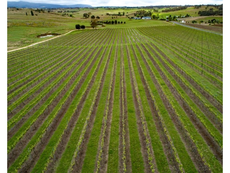 11812 Bruxner Highway, Tenterfield NSW 2372