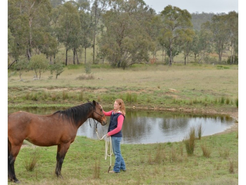 1485 New England Highway, Tenterfield NSW 2372