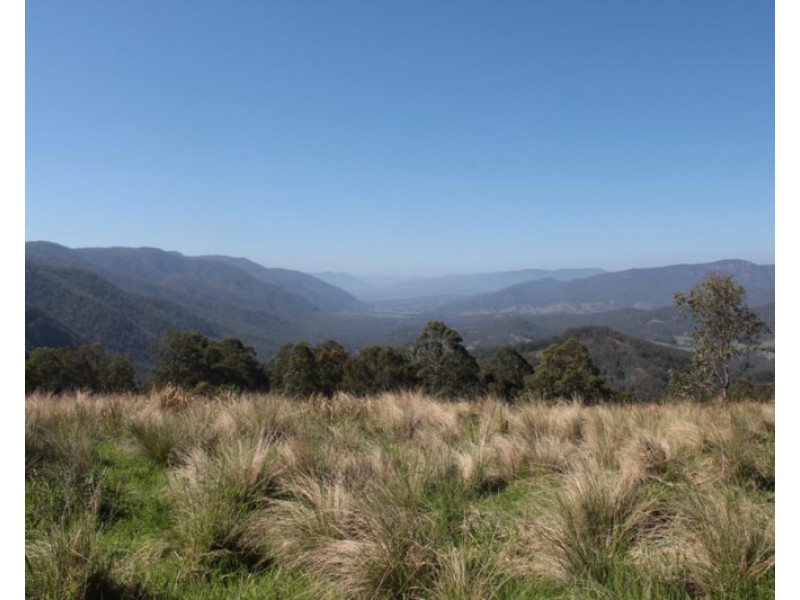 90 Timbarra Road, Tenterfield NSW 2372