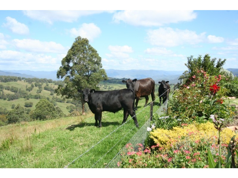 Tenterfield NSW 2372