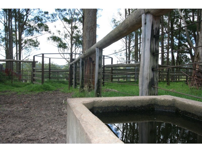 Tenterfield NSW 2372