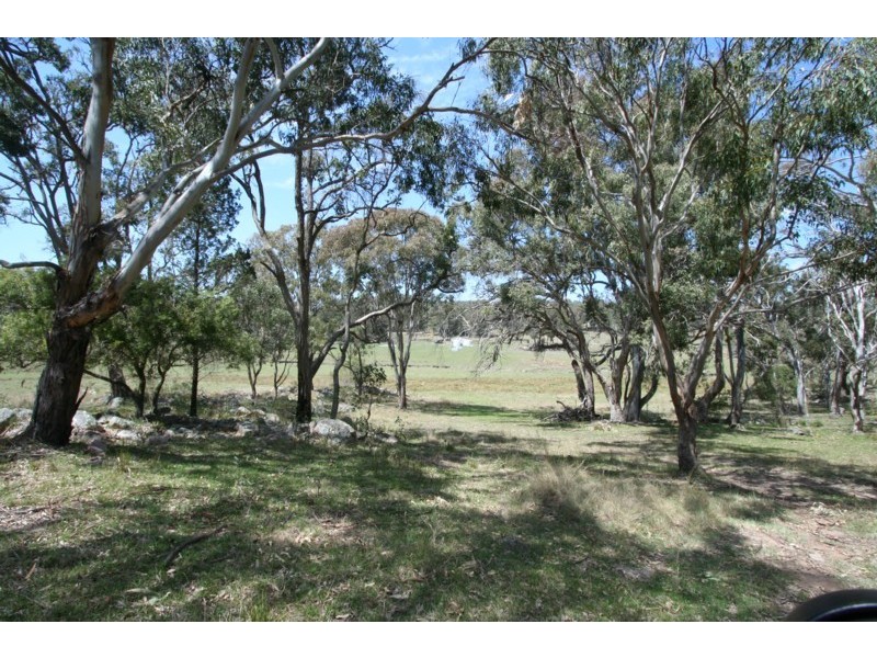 Tenterfield NSW 2372