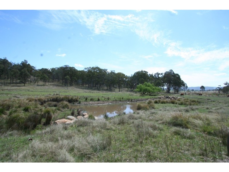 Tenterfield NSW 2372