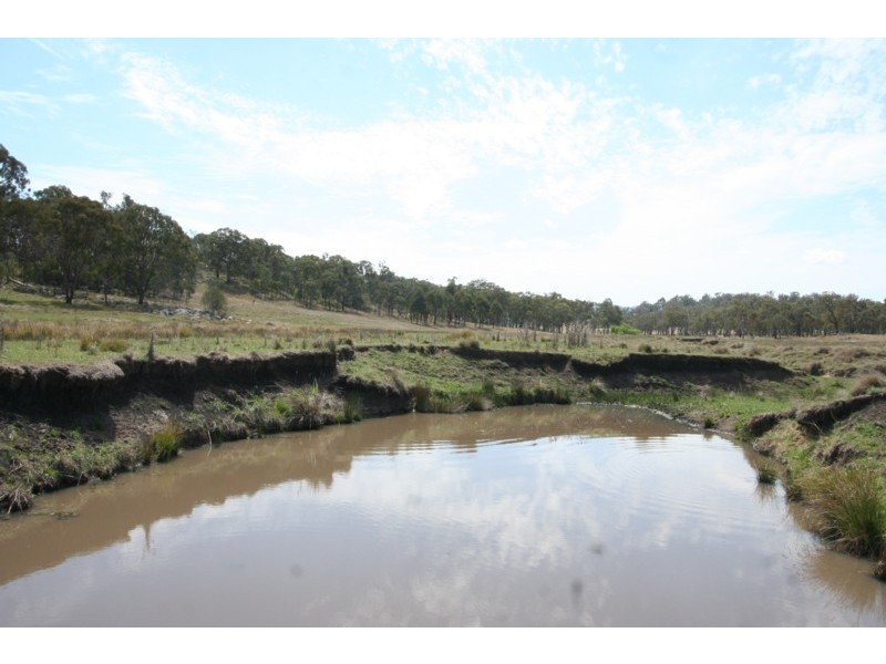 Tenterfield NSW 2372