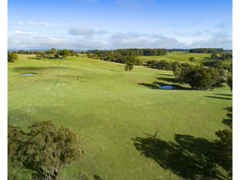310 Timbarra Road, Tenterfield NSW 2372