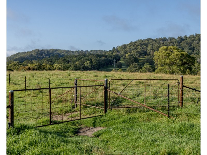 310 Timbarra Road, Tenterfield NSW 2372